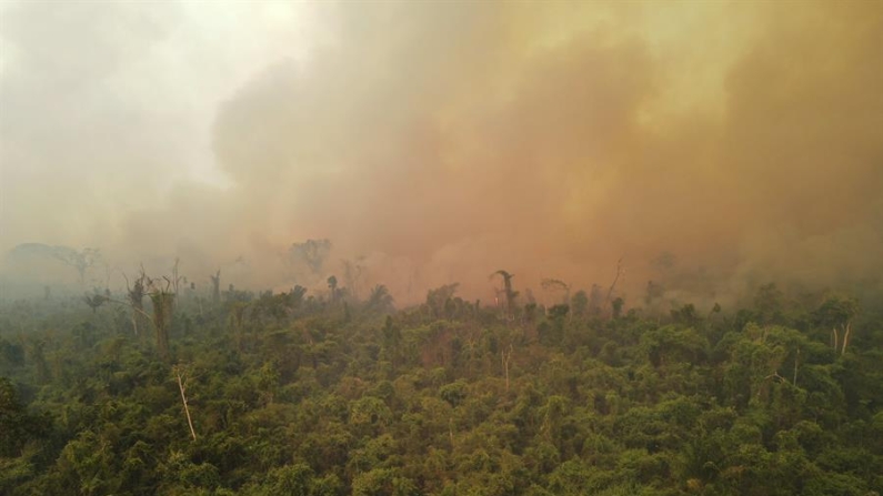 Fotografía aérea de archivo que muestra un incendio en el área municipal El Copaibo, en Santa Cruz (Bolivia). EFE/ Juan Pablo Roca
