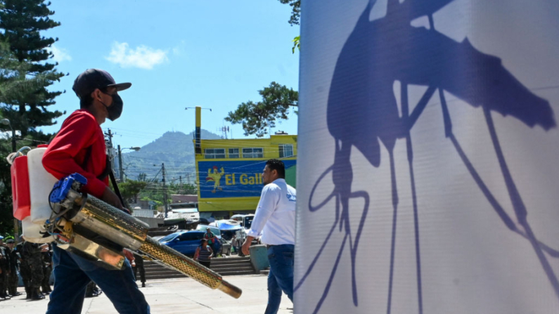 Un empleado del Comité Permanente de Contingencias (COPECO) se prepara para participar en una operación de fumigación dentro de la emergencia nacional para combatir el mosquito Aedes Aegypti, vector del dengue, en Tegucigalpa (Honduras), el 23 de agosto de 2024. (Orlando Sierra/AFP vía Getty Images)