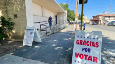 Texas retira a un millón de votantes inelegibles de las listas, incluidos no ciudadanos y fallecidos