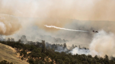 Bomberos detienen a sospechoso de provocar incendio que destruyó 26 casas en el condado de Butte