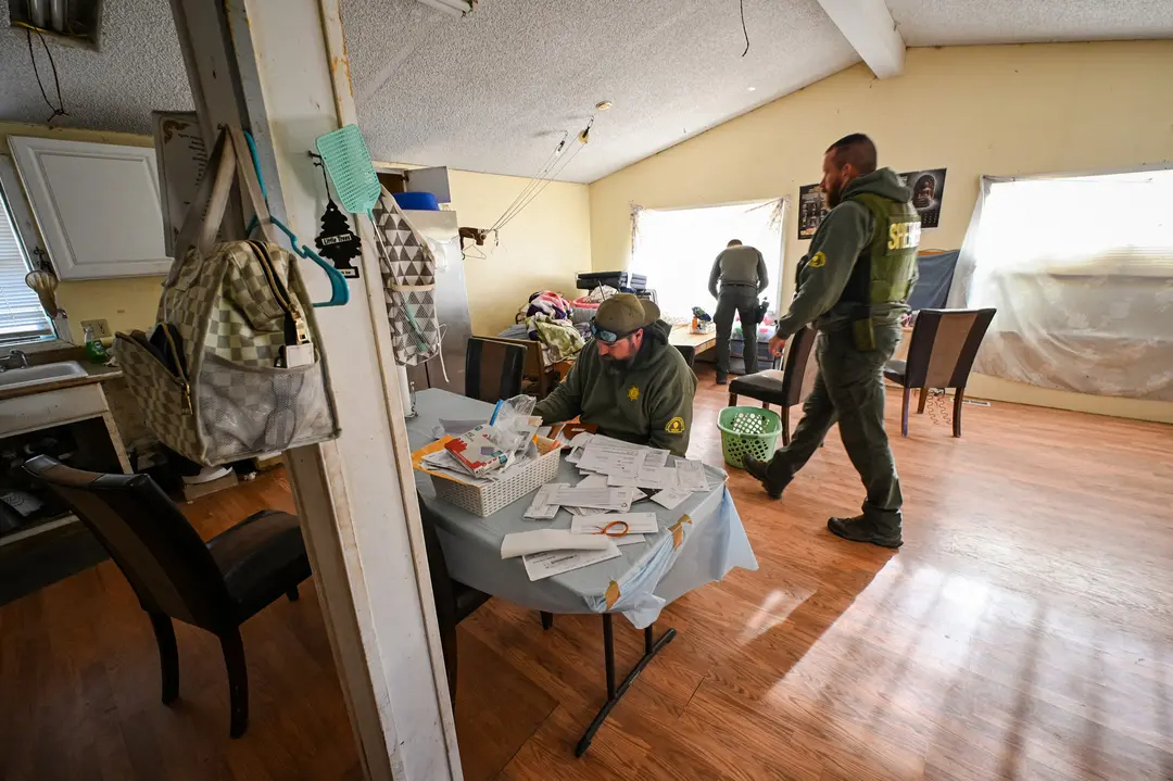 Ayudantes del sheriff del condado de San Bernardino revisan documentos en el interior de una vivienda durante una redada en una granja ilegal de marihuana en Newberry Springs, California, el 29 de marzo de 2024. (Robyn Beck/AFP vía Getty Images)