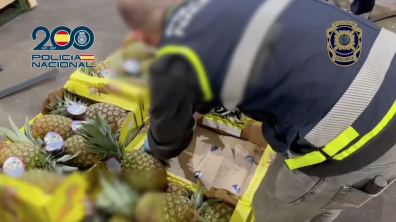 Captura de pantalla: La Policía española ha desarticulado una organización criminal dedicada a la introducción de cocaína en España oculta entre cajas de piñas, en una operación conjunta con la Policía portuguesa en la que han sido detenidas tres personas. (Policía Nacional de España/EFE)