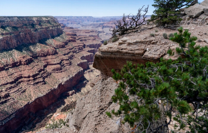 El Borde Sur del Parque Nacional del Gran Cañón en Grand Canyon Village, Arizona, el 8 de agosto de 2023. (Alex Brandon/Foto AP). 
