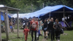 Ubican campamento clandestino de migrantes ilegales en la selva panameña del Darién