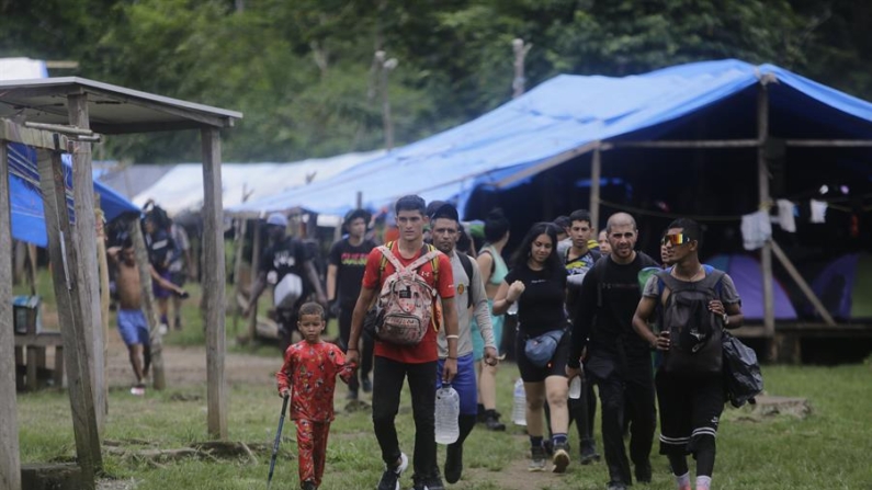 Migrantes de diferentes nacionalidades cruzan un campamento en medio de un operativo el 31 de agosto de 2024 en plena selva del Darién, frontera natural entre Colombia y Panamá. EFE/Carlos Lemos