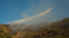 Incendios arrasan 7000 hectáreas en la central provincia argentina de Córdoba