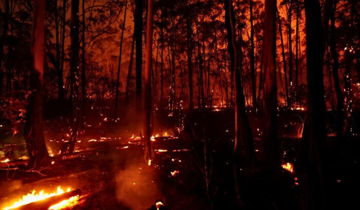 Las llamas surgen de los incendios forestales en el Bosque Nacional de Brasilia en Brasilia, Brasil, el 4 de septiembre de 2024. (Ueslei Marcelino/Reuters)