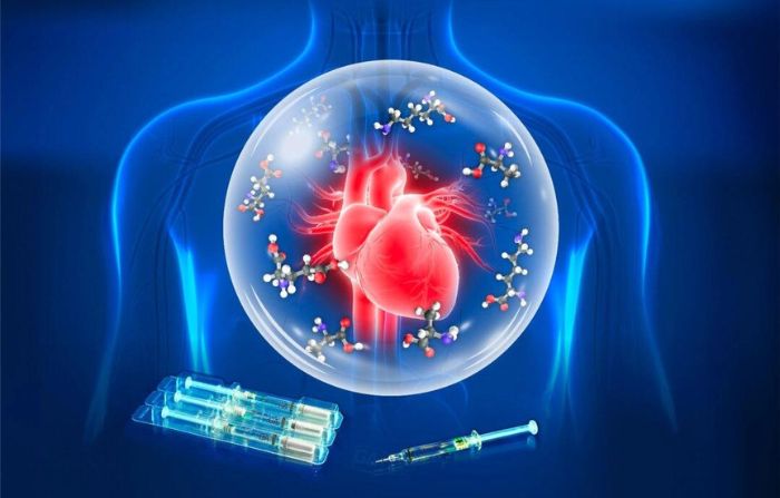 Los investigadores descubrieron que un fármaco utilizado para tratar la esclerosis múltiple puede ayudar a recuperarse a las víctimas de infartos de miocardio. (Cortesía de Rachel Sarig)