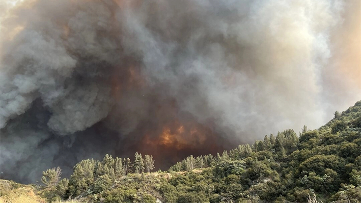 El incendio Line en el condado de San Bernardino, California, había crecido hasta 32 millas cuadradas el 9 de septiembre de 2024. (Servicio Forestal de EE. UU.)
