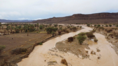 Inundaciones en Marruecos y Argelia dejan más de 20 muertos