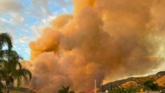 Incendio avanza rápidamente quemando 41 millas cuadradas en condado de California