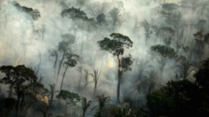 Sequía extrema y humo de incendios forestales dejan a la población varada en la Amazonia brasileña