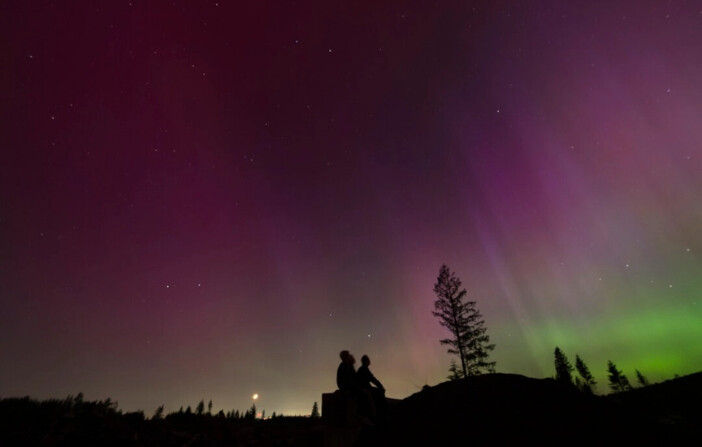 La gente mira al cielo nocturno hacia las luces del norte, o Aurora Boreal, en Estacada, Oregón, el 10 de mayo de 2024. (Jenny Kane/Foto AP). 