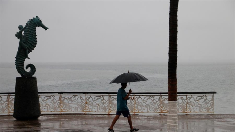 Según los pronósticos, se prevé que toque tierra alrededor del mediodía del viernes en el municipio de San Joée del Cabo (Baja California Sur). Fotografía de archivo. EFE/Francisco Pérez