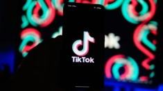 La corte se prepara para la audiencia de TikTok contra ley que le obliga a revertir inversión china