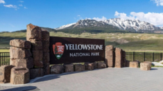 Mujer sufre quemaduras en la pierna al salir del sendero designado cerca al Old Faithful, Yellowstone