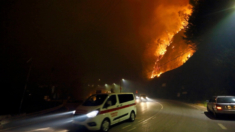 Portugal declara estado de calamidad ante descontrolados incendios forestales