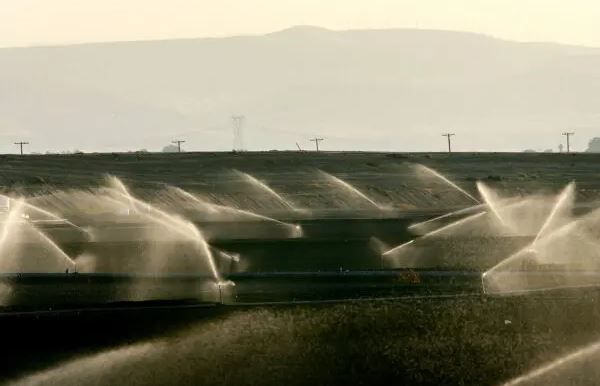 Aspersores riegan un campo cerca de la comunidad de Discovery Bay, una isla residencial rodeada de diques que retienen las aguas del delta del río Sacramento-San Joaquín, al oeste de Stockton, California, el 28 de septiembre de 2005. (David McNew/Getty Images)