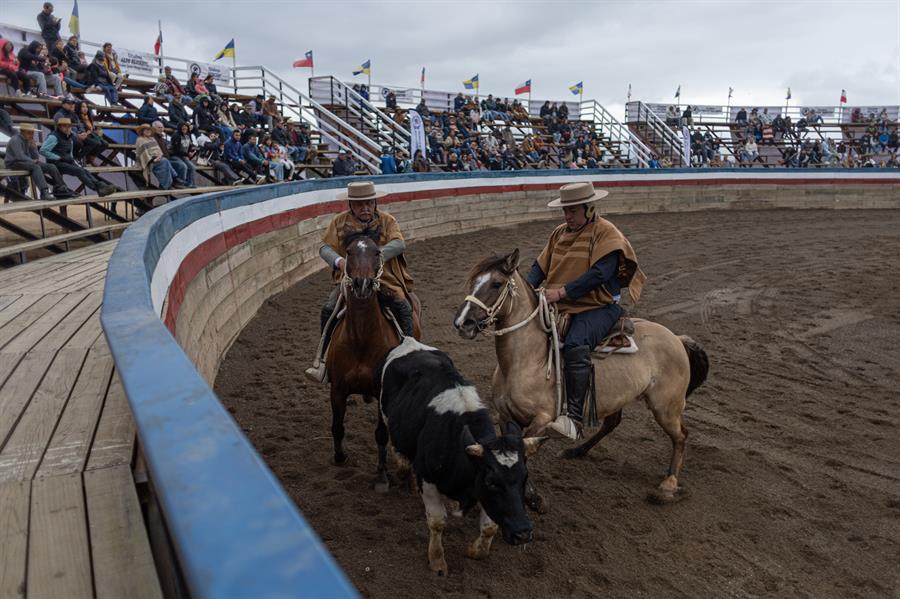 Fiestas Patrias dejan 61 muertos en accidentes y 37 por violencia en Chile