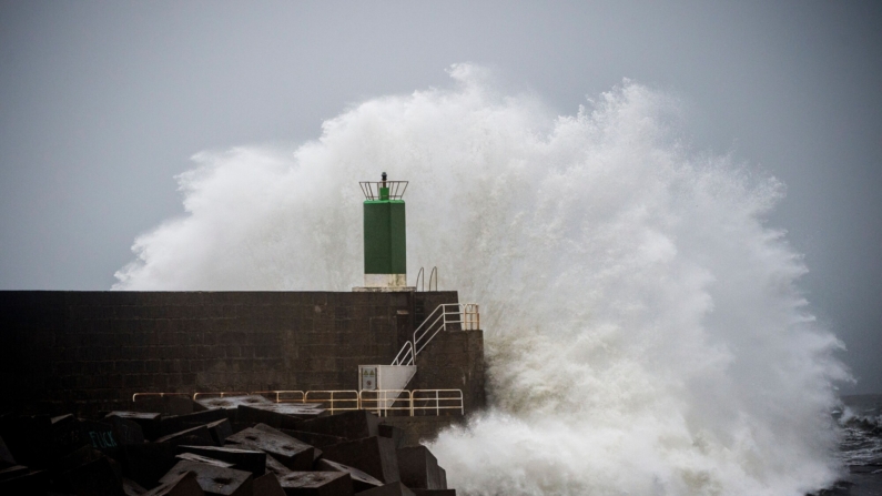 Imagen ilustrativa.  (Photo by MIGUEL RIOPA/AFP via Getty Images)