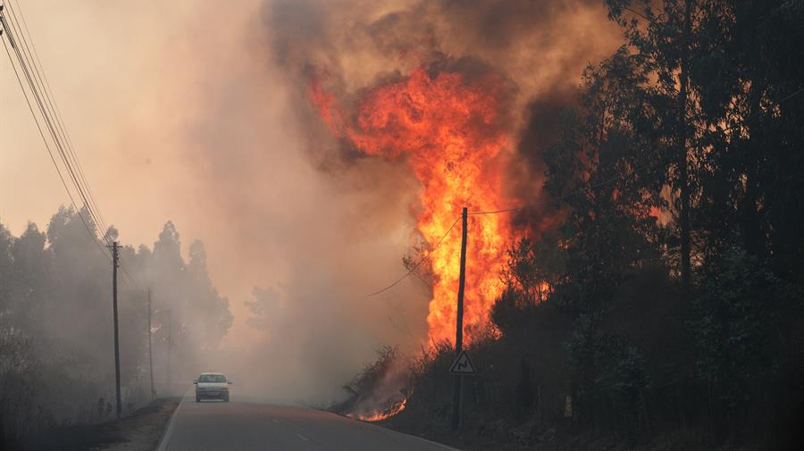 Detenido presunto autor de uno de los incendios en Portugal