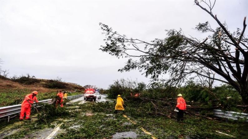 Autoridades retiran un árbol derrumbado sobre una carretera tras el paso del huracán John, el 24 de septiembre de 2024 en la localidad de Maruquelia (México). EFE/ David Guzmán