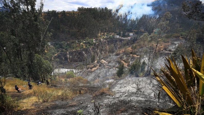 Fotografía de un incendio forestal el 25 de septiembre de 2025, en Quito (Ecuador). EFE/José Jácome