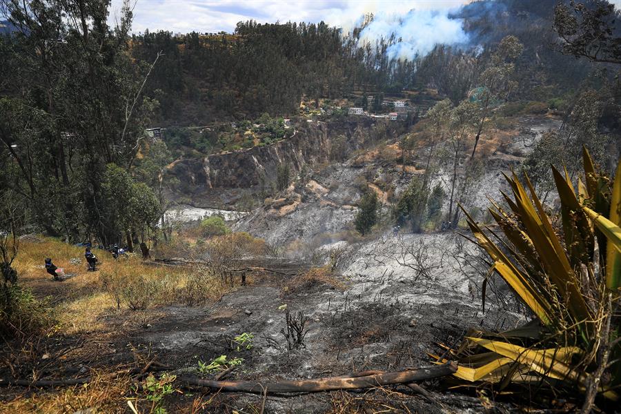 Detienen a colombiano sospechoso de iniciar uno de los incendios forestales en Quito