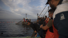 La pesca pide protagonismo con un mar de reivindicaciones ante la nueva etapa de la UE