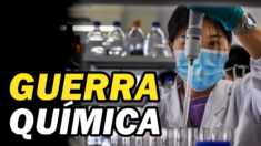 Mata a 70.000 estadounidenses cada año. “La amenaza nº 1 de Seguridad Nacional”