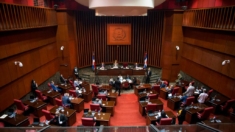 Senado de República Dominicana aprueba modificar la Constitución