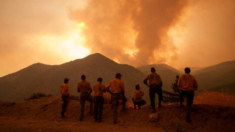 Incendio forestal provoca evacuación en el Condado de San Bernardino en California