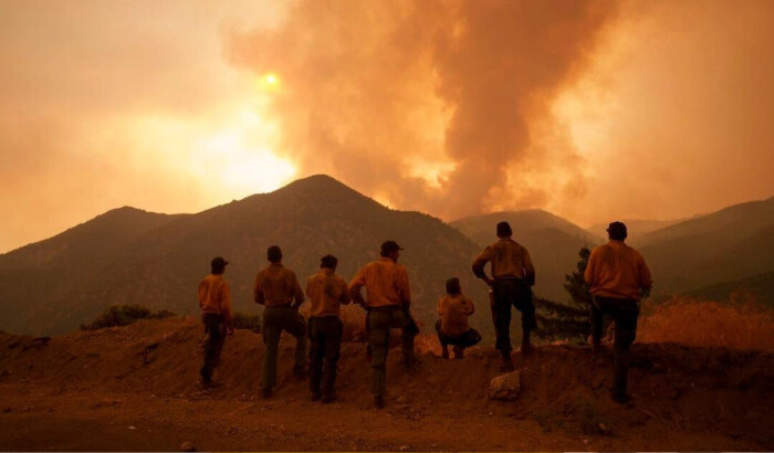 Los bomberos monitorean el avance del incendio Line en Angelus Oaks, California, el 9 de septiembre de 2024. (Eric Thayer/AP Foto)