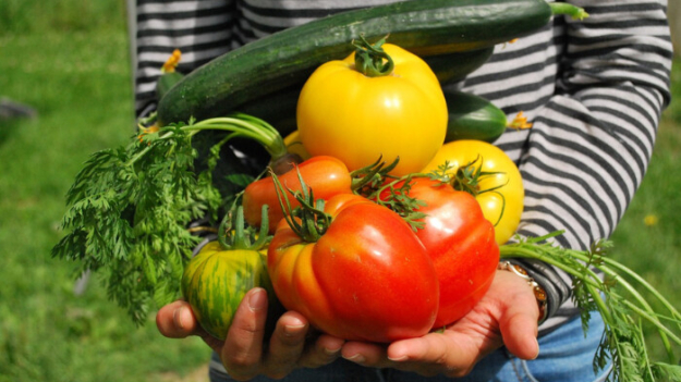 La dieta puede reducir el riesgo de cáncer: Expertos en nutrición lo explican