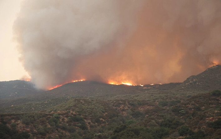 El incendio Line continúa desafiando a los 1200 bomberos asignados al incendio en las montañas del condado de San Bernardino, el 30 de septiembre de 2024. (Cal Fire)