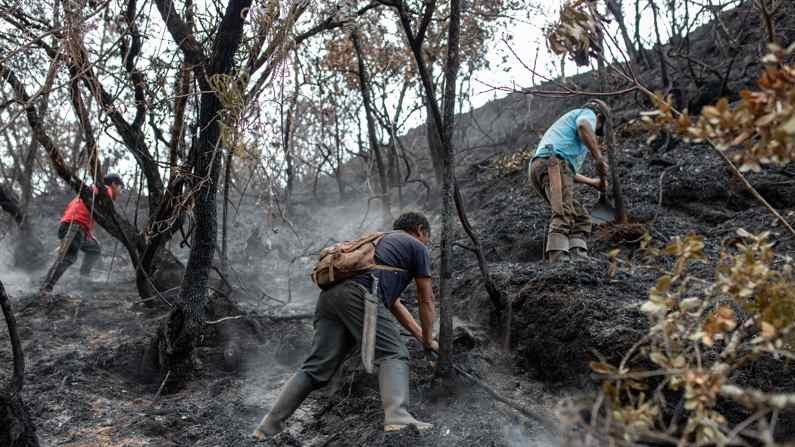 Incendio del Amazonas, en imagen de archivo. (EFE/Miguel Gutierrez Chero)