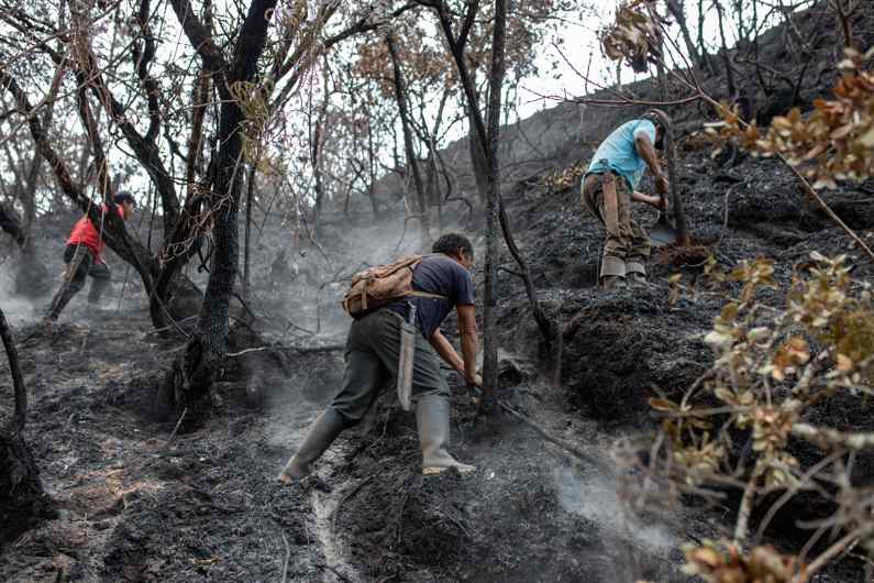 La Amazonía brasileña registró en septiembre el mayor número de incendios en 14 años