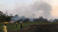 Al menos 36 viviendas son destruidas por incendio en ciudad de la Amazonía peruana