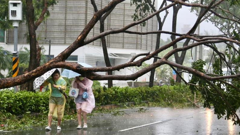 Unas mujeres que intentan protegerse de la lluvia y el viento con sendos paraguas encuentran a su paso un árbol caído en Kaohsiung, una importante ciudad portuaria del sur de Taiwán. EFE/ Ritchie B. Tongo