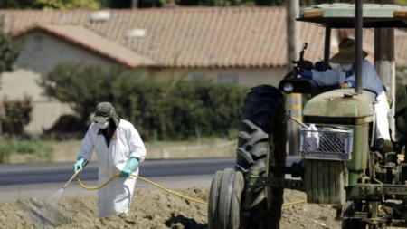 Restablecen normas de la era Obama que protegen contra exposición a pesticidas