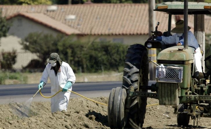 Trabajadores agrícolas rocían productos químicos en el borde de un campo que bordea las casas cerca de la ciudad de Lamont, al sureste de Bakersfield, California, el 12 de agosto de 2004. (David McNew/Getty Images)