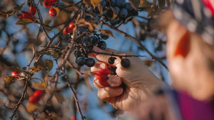 Presentamos 6 frutas antiinflamatorias esenciales para aliviar los síntomas de la artritis