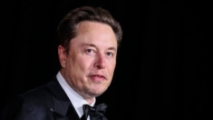 Musk lanza comité de acción política para apoyar candidatos a favor de seguridad fronteriza