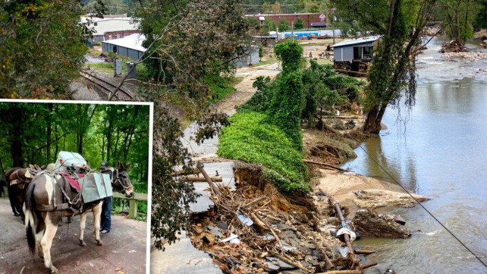 Grupo de mulas lleva ayuda por las carreteras intransitables de Carolina del Norte