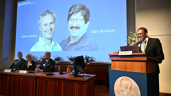 Thomas Perlmann, secretario de la Asamblea Nobel y del Comité Nobel, habla mientras Victor Ambros y Gary Ruvkun reciben el Premio Nobel de Fisiología o Medicina de este año, en Estocolmo, Suecia, el 7 de octubre de 2024. (Christine Olsson/Agencia de Noticias TT/vía Reuters)