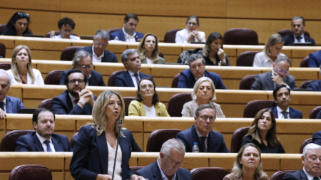 El Senado aplaza el debate de la ley que incluye beneficios penales para etarras