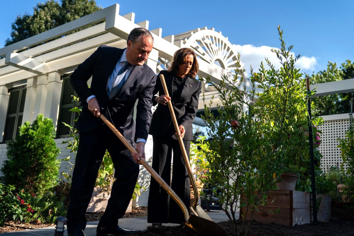 El segundo caballero Doug Emhoff y la vicepresidenta Kamala Harris plantan un árbol de granada en la residencia de la vicepresidente en el Observatorio Naval de EE.UU., en Washington, el 7 de octubre de 2024. (Kent Nishimura/Getty Images)