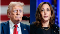 Harris y Trump presentan propuestas de seguridad fronteriza en respuesta a los sheriffs de EE.UU.