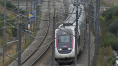 Evacúan tren en Estrasburgo por «un ligero humo», pero no hay heridos