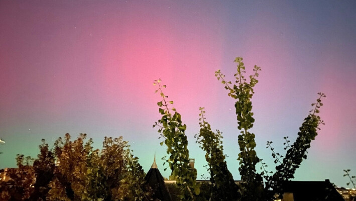 Aurora boreal vista sobre Washington, el 10 de octubre de 2024. (Lucie Aubourg/AFP vía Getty Images). 